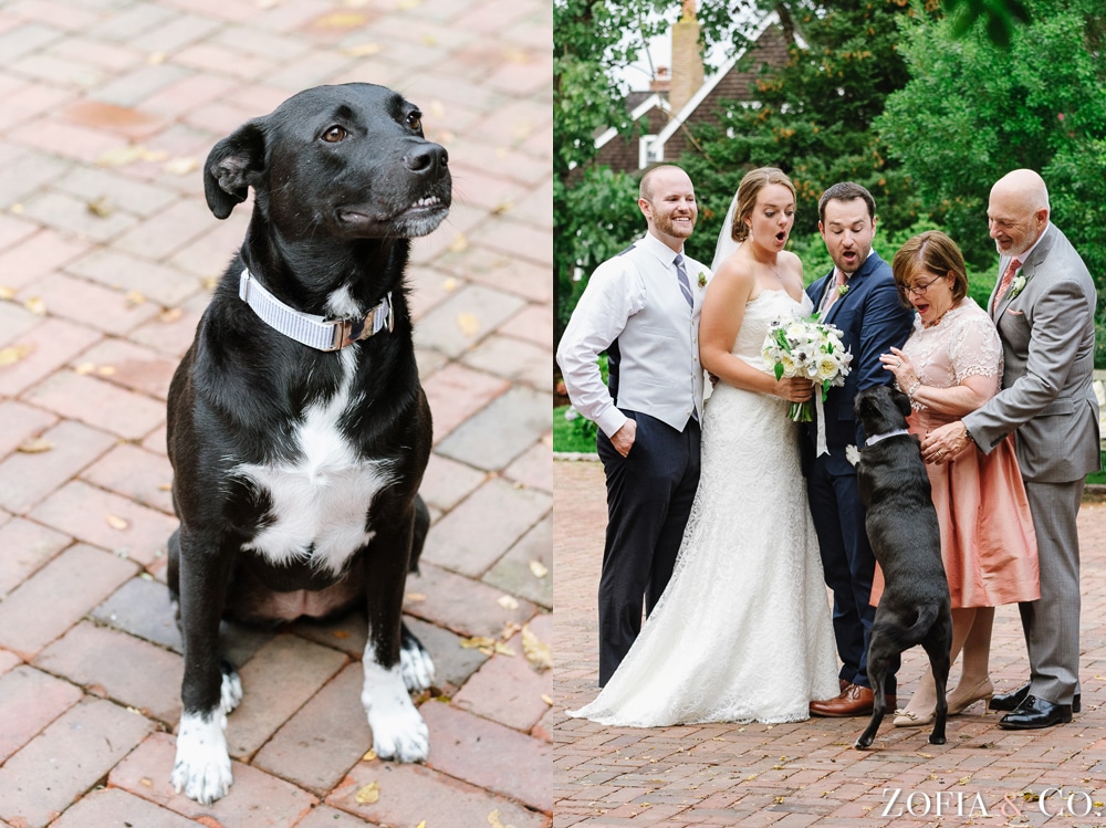 Nantucket Westmoor Farm Wedding by Zofia & Co. Photography